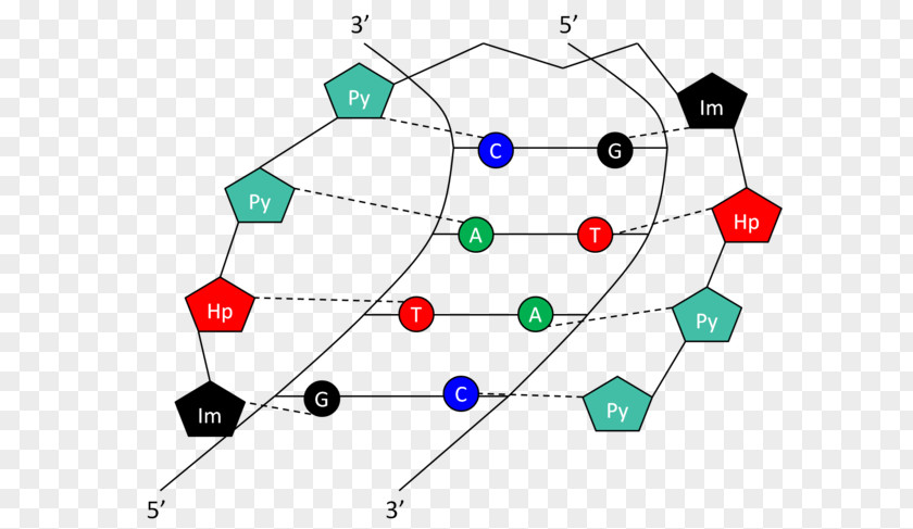 Transcription Factor Line Point Angle Technology Clip Art PNG