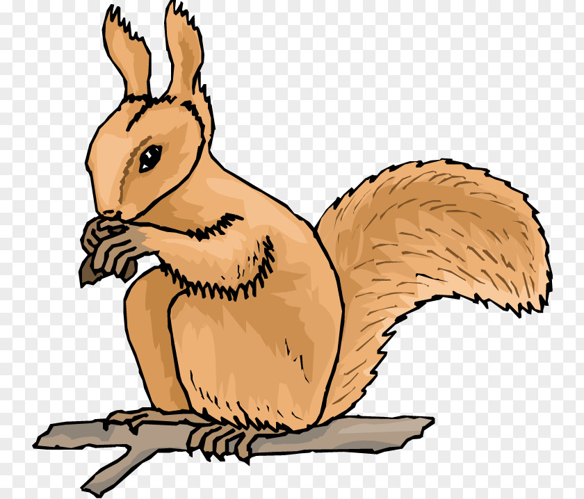 Woodchuck Clipart Squirrel Free Content Clip Art PNG