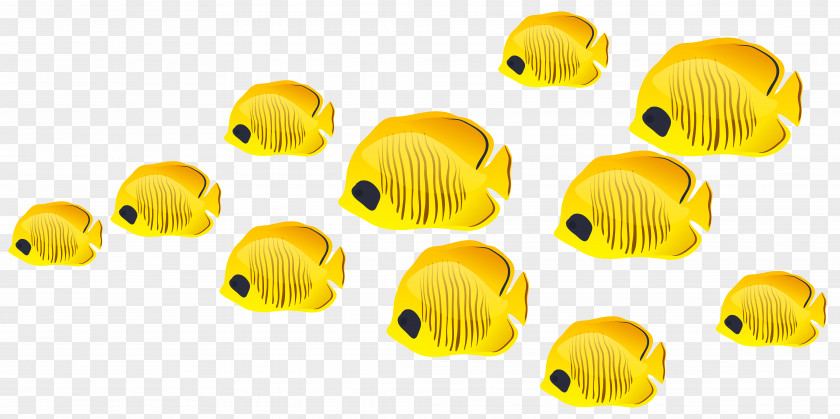 Fishes Clip Art Image Fish PNG