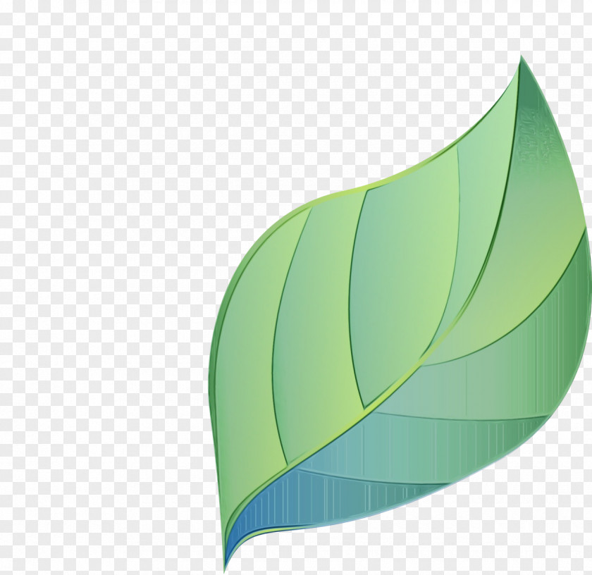 Flower Logo Green Leaf Watercolor PNG