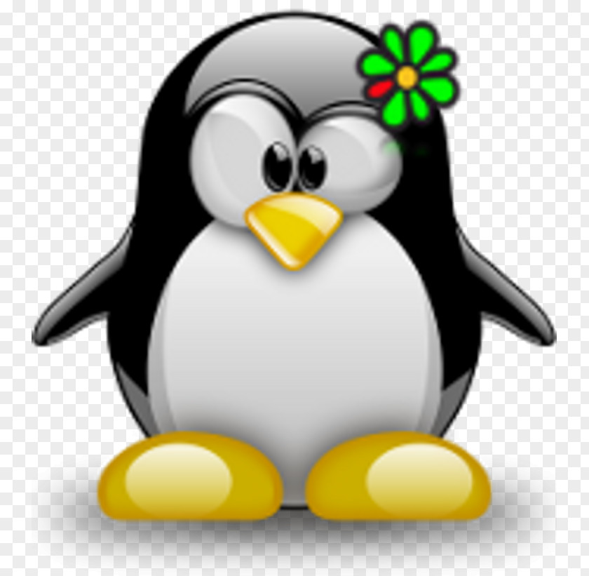 Penguin Tux Racer Typing Linux PNG