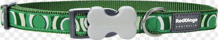 Red Collar Dog Green Dingo PNG