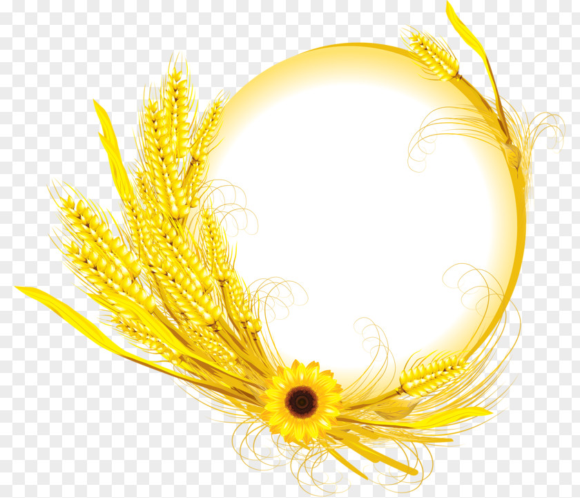 Yellow Wheat Decorative Frame Royalty-free Illustration PNG