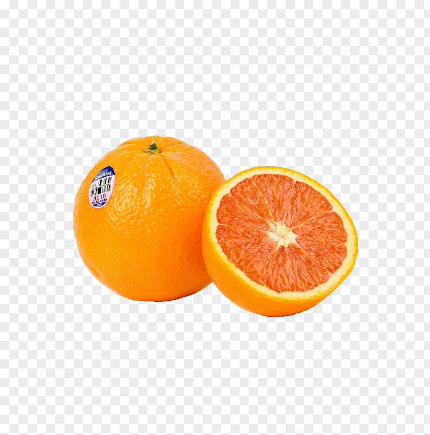 Orange Blood Tangerine Clementine Tangelo PNG