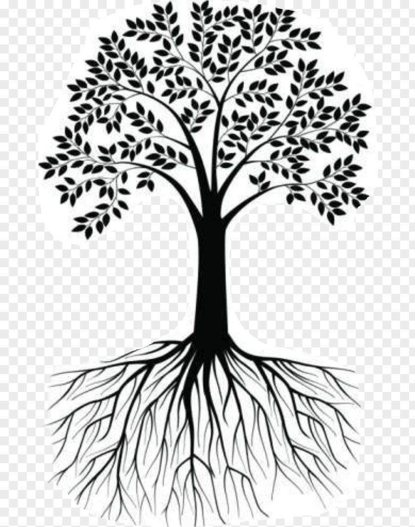 Tree Wall Decal Root Clip Art Illustration PNG