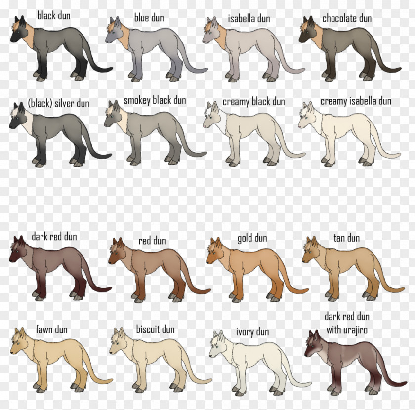 Cat Dog Breed Terrestrial Animal Fauna PNG