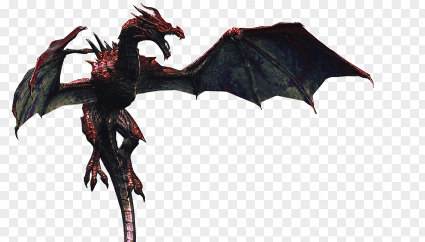 Realistic Dragon Photos The Elder Scrolls V: Skyrim Clip Art PNG