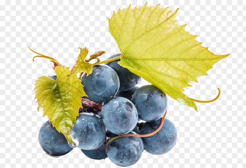 A Bunch Of Grapes Juice Wine Grape Seed Extract PNG