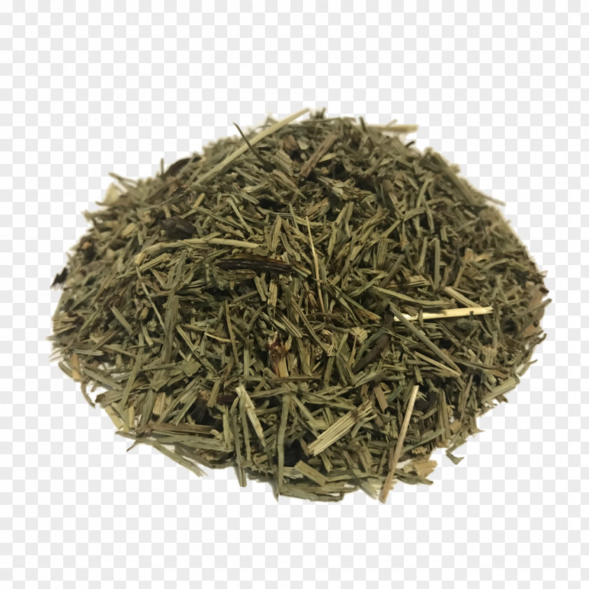 Kabusecha Kukicha Green Tea PNG