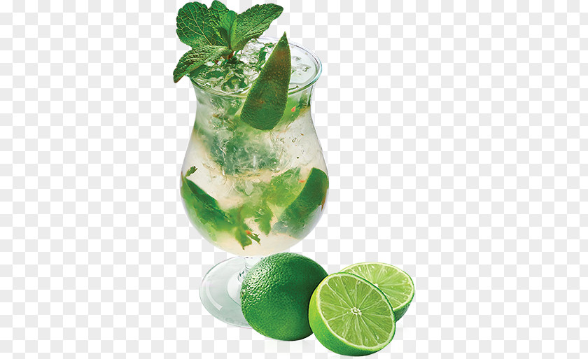 Mojito Cocktail Garnish Lemonade Gin And Tonic PNG