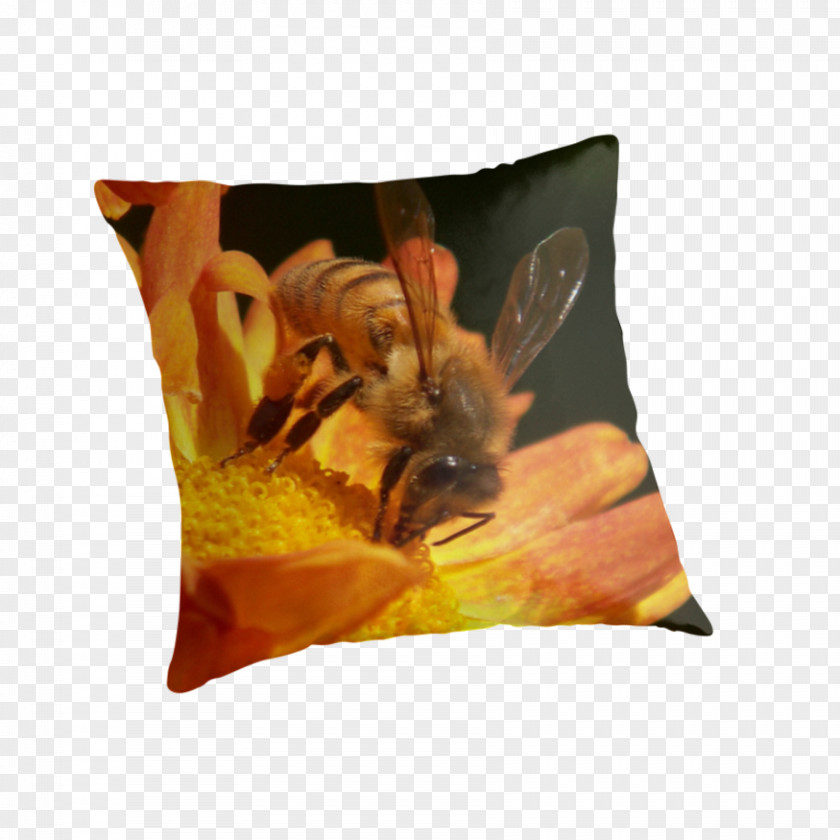 Orange Chrysanthemum Honey Bee Throw Pillows Cushion PNG