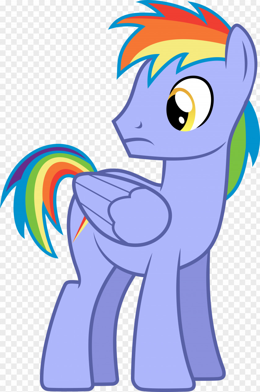 Pegasus Hair Rainbow Dash Twilight Sparkle Rarity Father My Little Pony PNG