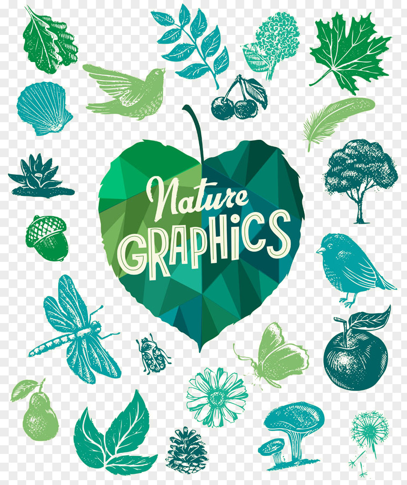 Afforest Design Element Illustration Stock Photography Vector Graphics Royalty-free Euclidean PNG