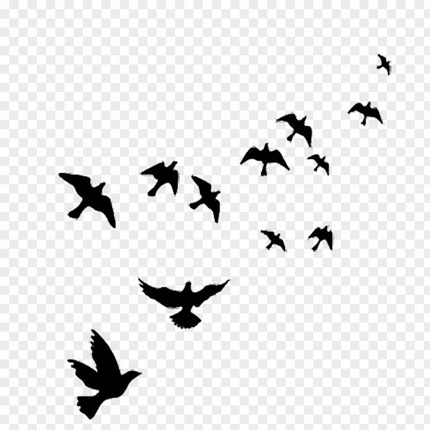 Flying Bird Wall Decal Polyvinyl Chloride PNG