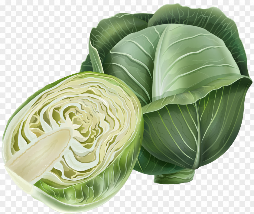 Hand Wrapped Cabbage Savoy Romanesco Broccoli Vegetable PNG