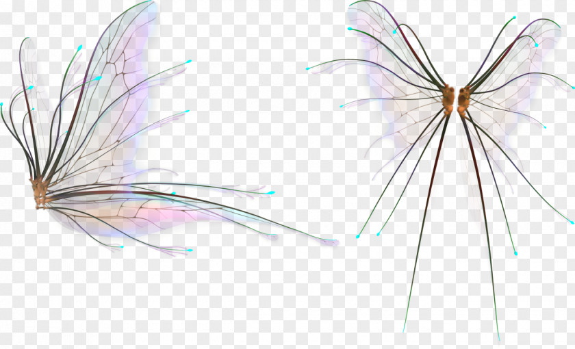 Insect PhotoScape Adobe Photoshop Graphics Image PNG