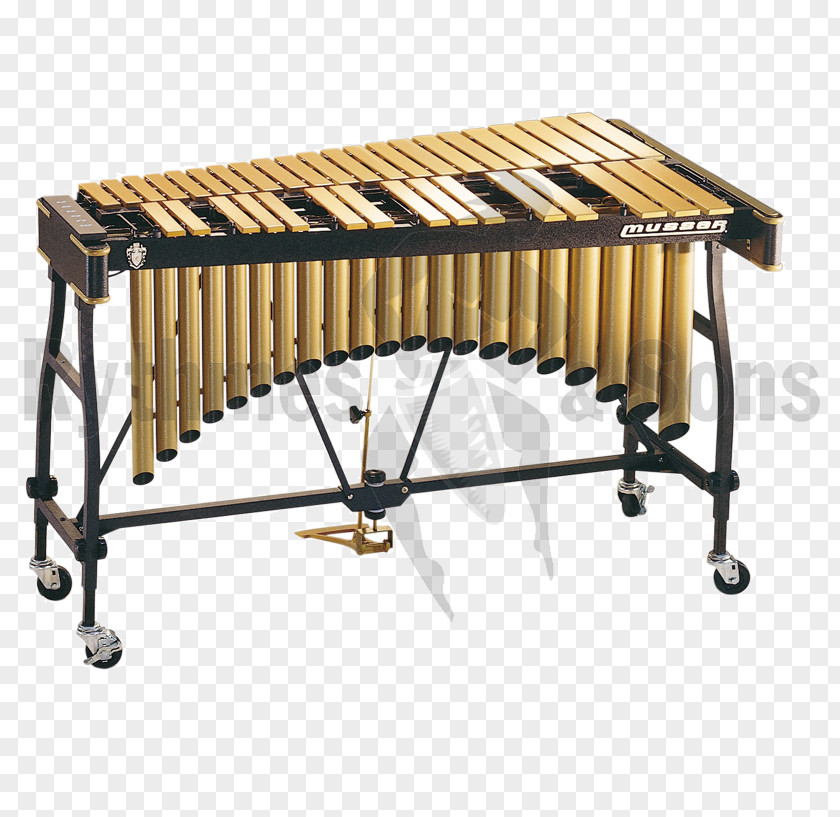 Musical Instruments Vibraphone Percussion Octave Tuning PNG