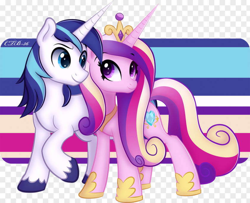 Shining Background Princess Cadance Armor Twilight Sparkle Pony Rarity PNG