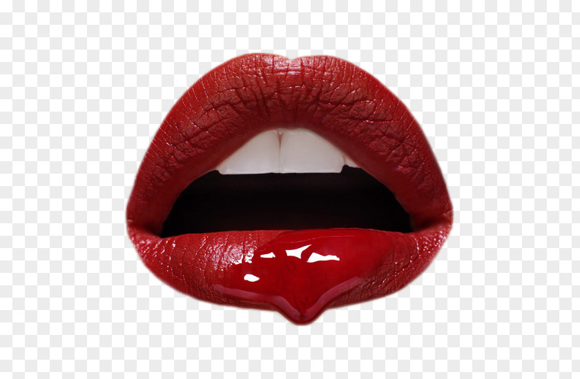 Bouche Lip Photography Photographer The Beauty Book PNG