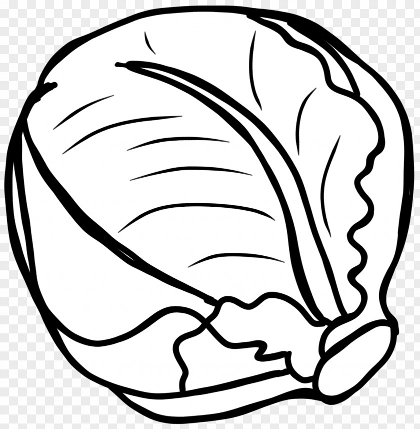 Cabbage Red Vegetable Black And White Clip Art PNG