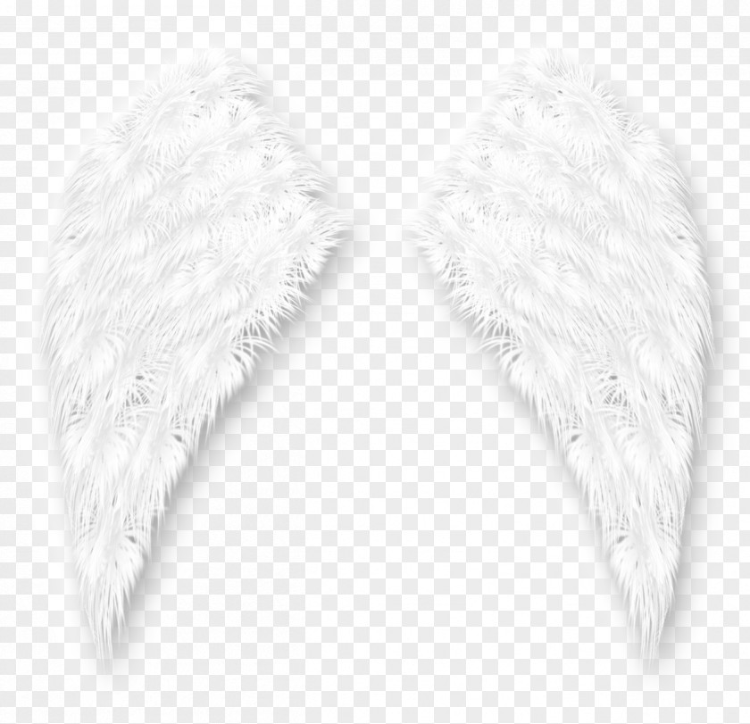 Angels Wings White PNG