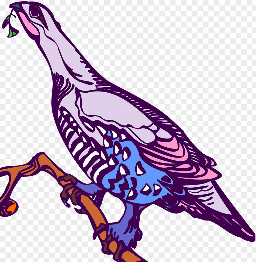Birds Vector Beak Art Galliformes Animal Clip PNG