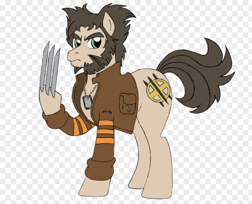 Cat Pony Wolverine Horse Applejack PNG
