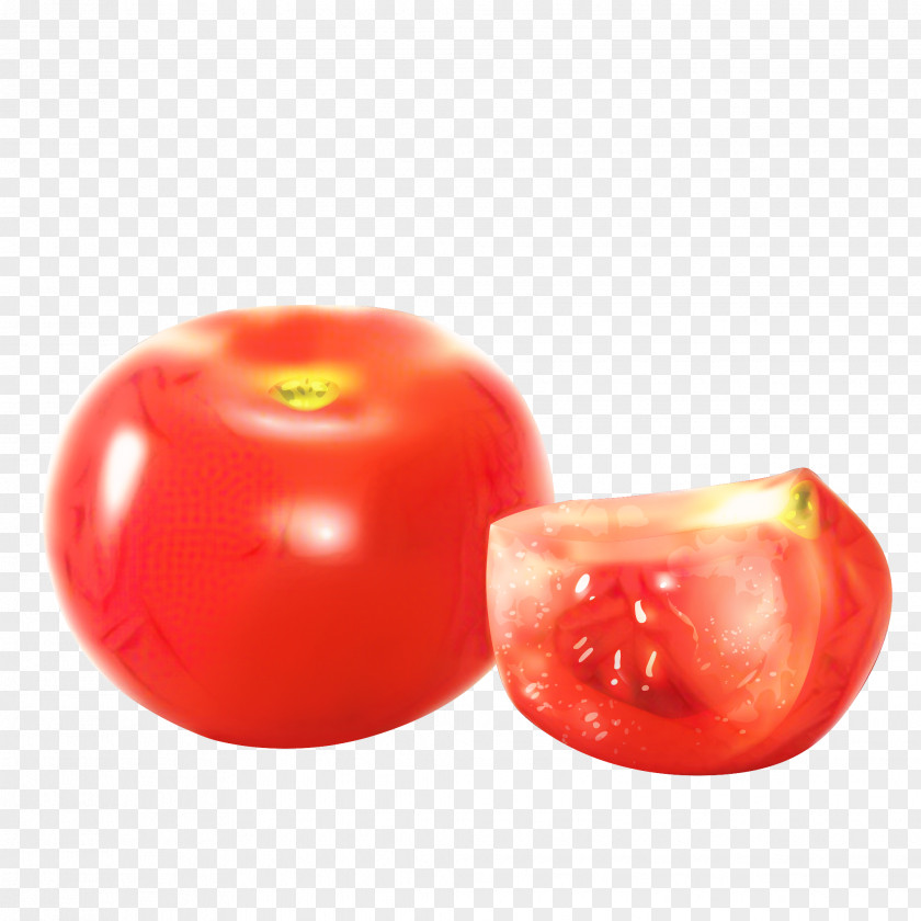 Plant Fruit Tomato Cartoon PNG