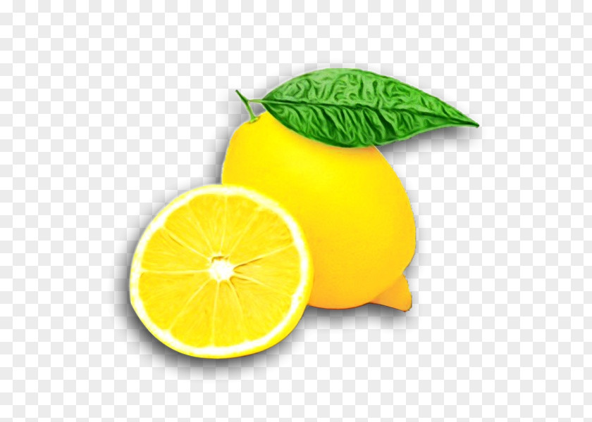 Plant Leaf Lemon Citrus Lemon-lime Fruit Yellow PNG