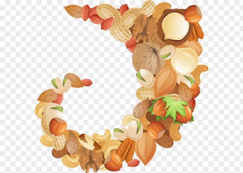 Almond Nut Dried Fruit Clip Art PNG