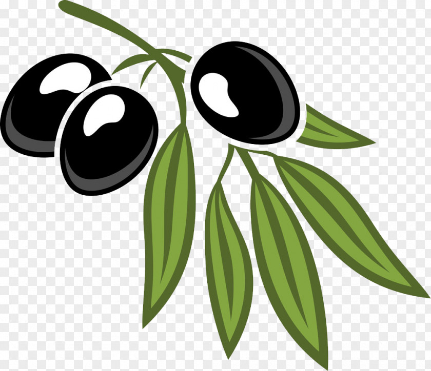 Black Olives And Foliage Olive Leaf Cartoon Royalty-free PNG