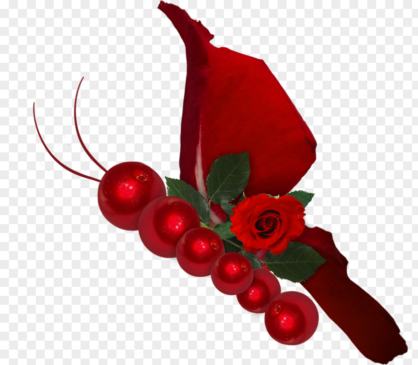 Candy Red Dragonfly Rose PNG