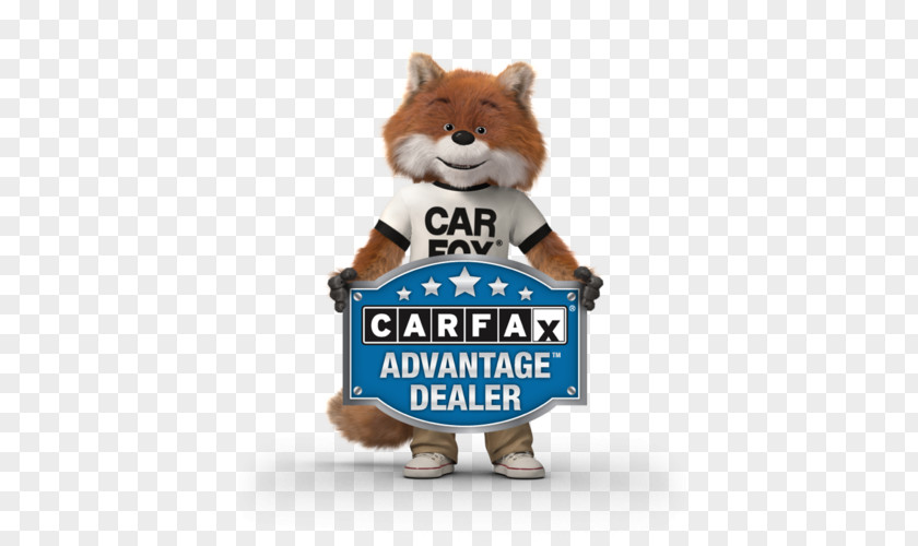 Car Carfax Ford Motor Company Dealership Used PNG