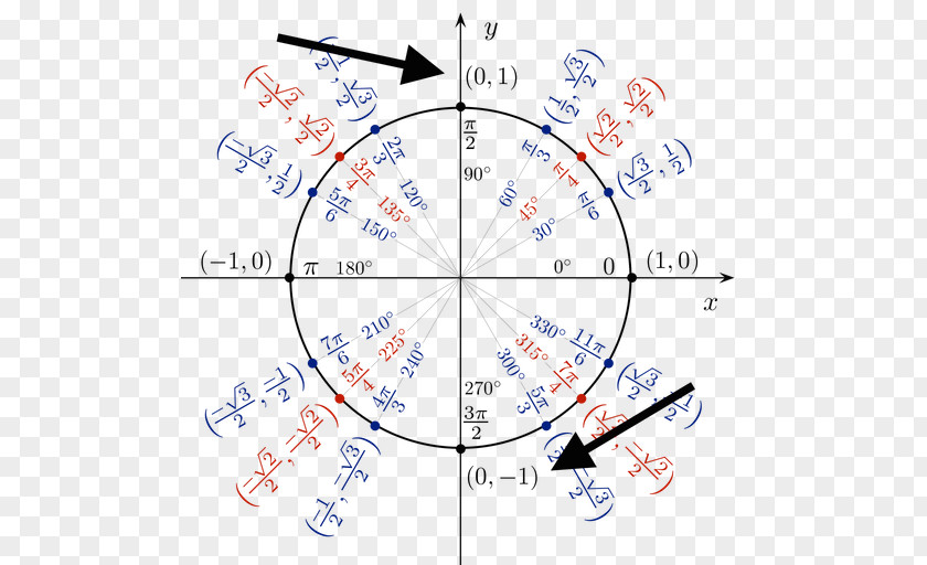 Circle Unit Trigonometry Coseno Precalculus PNG