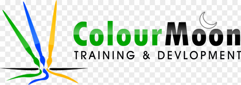 Training And Development Software Courses Institute In Vizag | ColourMoon Shilparamam Jathara Digital Marketing Web Designing PNG