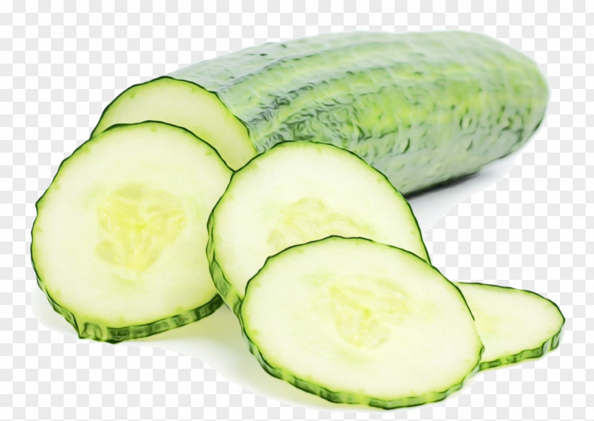 Winter Melon Ingredient Background PNG