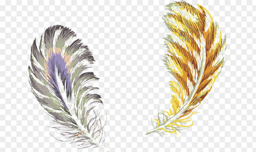 Zijin Feathers Bird Feather Color PNG