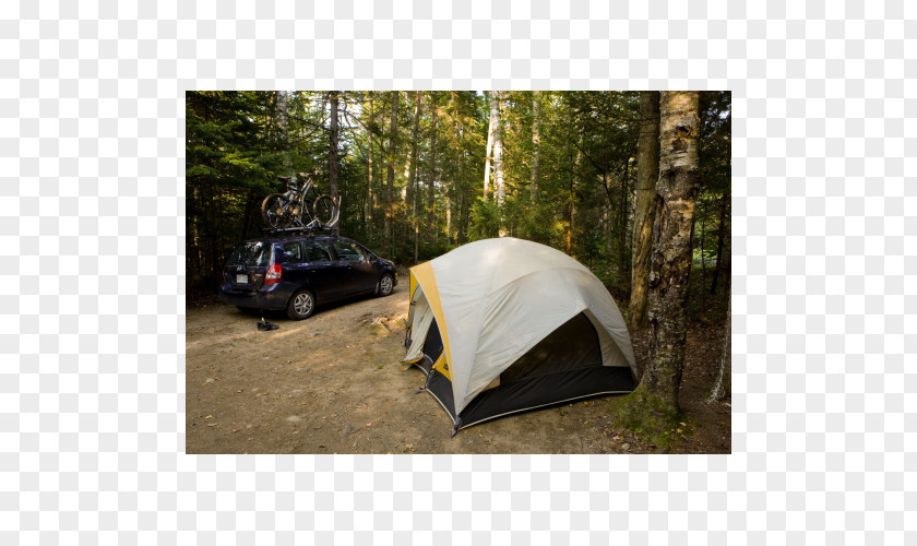 Car Plant Community Camping Tent Motor Vehicle PNG