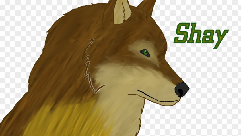 Dog Mammal Canidae Snout Character PNG