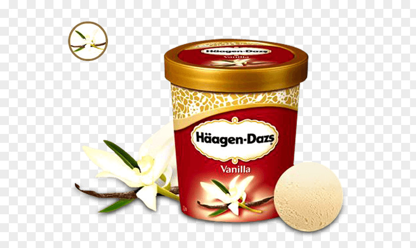 Ice Cream Häagen-Dazs Chocolate Brownie Pizza PNG