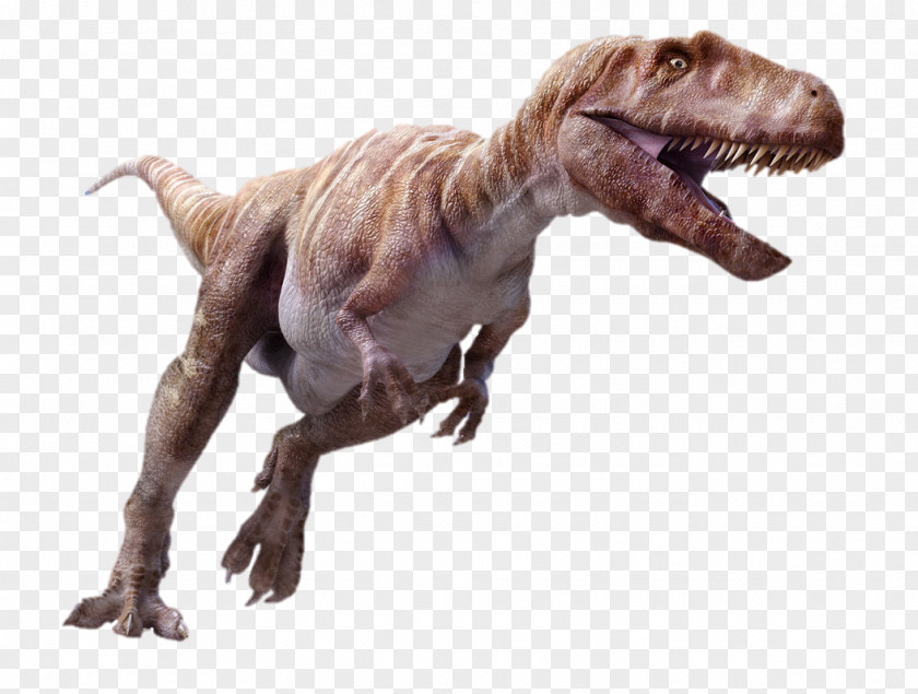 Dinosaur Megalosaurus Spinosaurus Ceratosaurus Tyrannosaurus Iguanodon PNG