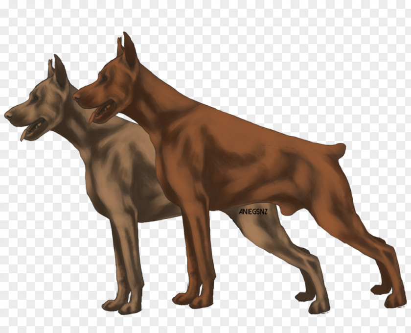 Dobermann German Pinscher Dog Breed Guard PNG