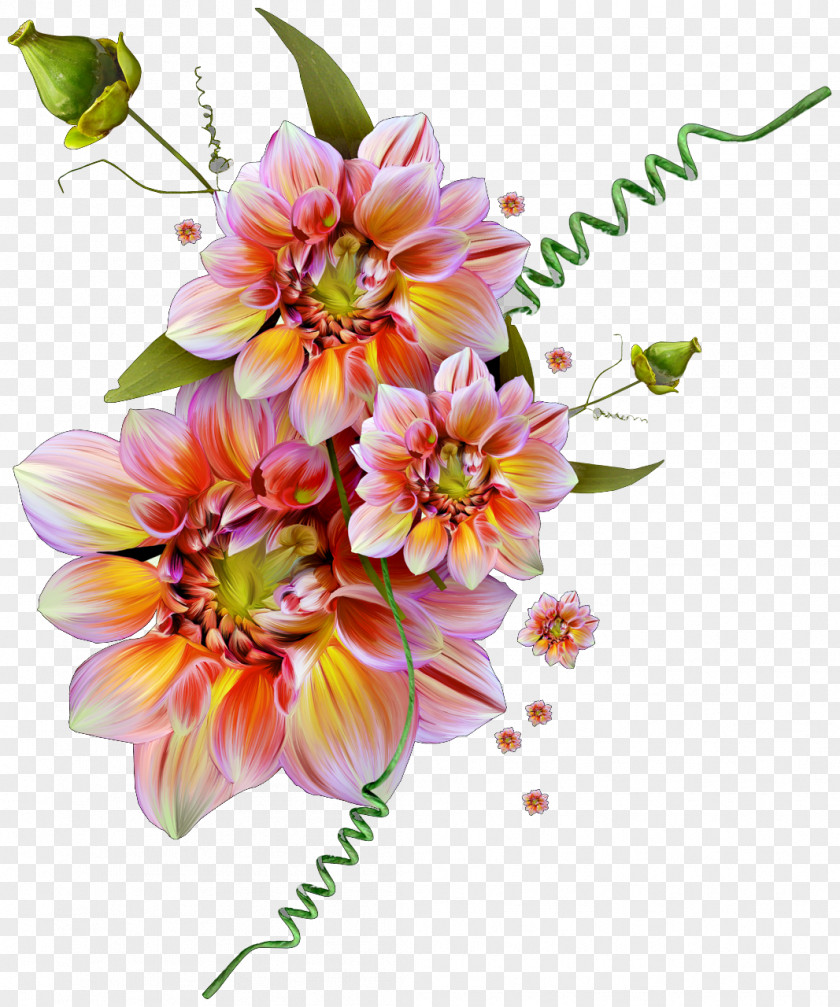 Flor Flower Desktop Wallpaper Letter Floral Design PNG
