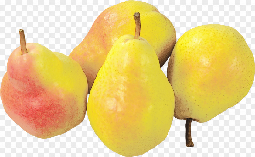 Fruit Tree Ataulfo Apple PNG