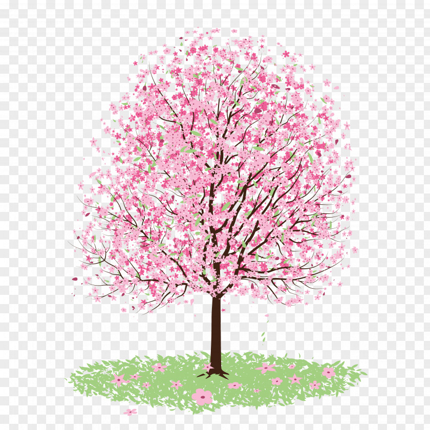 Japanese Cherry Blossom PNG