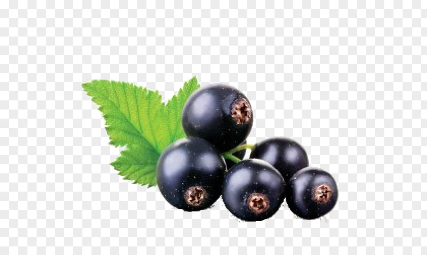 Juice Blackcurrant Fruit Stock Photography PNG