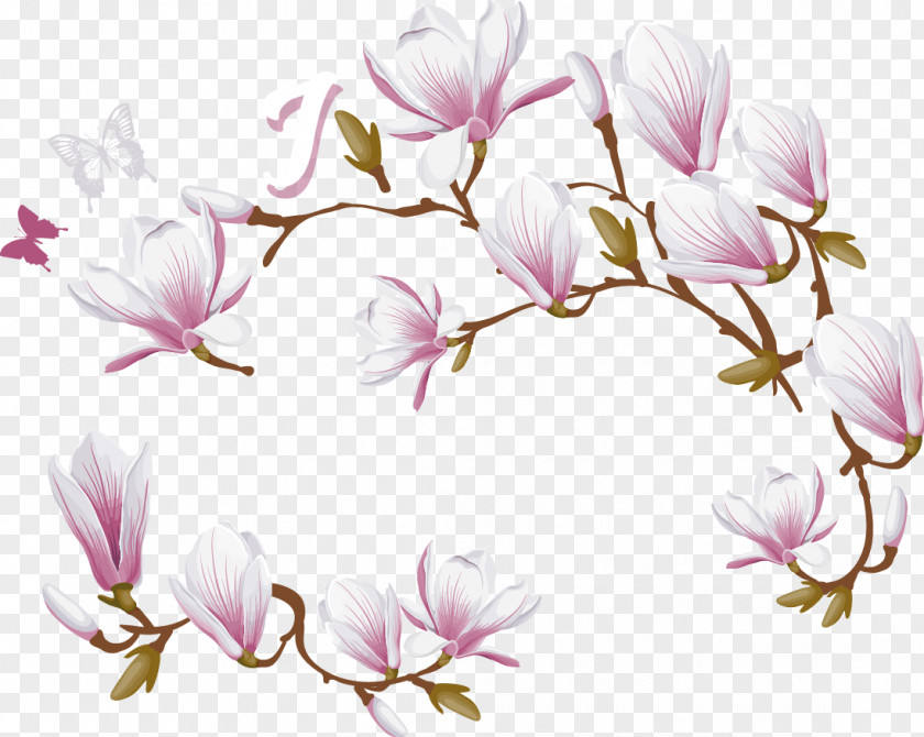 Magnolia Flower Decoration Vector Denudata Love PNG