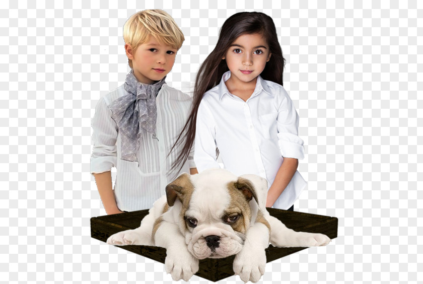 Puppy Dog Breed Child Companion PNG