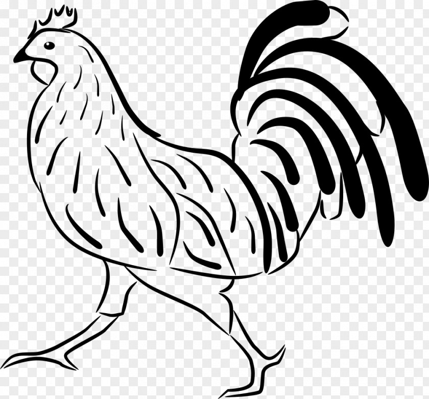 Rooster Chicken Drawing Clip Art PNG