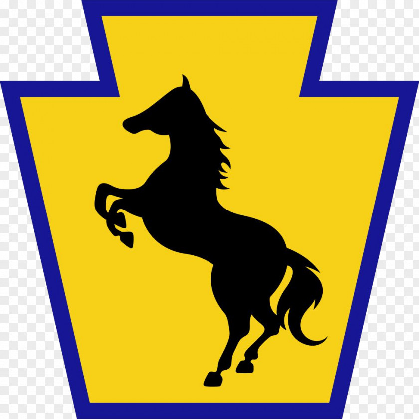 United States Army 55th Maneuver Enhancement Brigade 28th Infantry Division Combat Team PNG